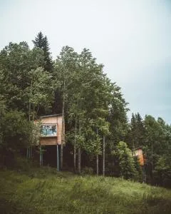 LAUV Tretopphytter - Nes i Ådal