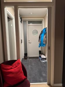3-room downtown apartment