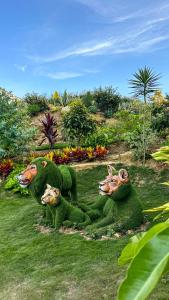 Hotel PAUCHÉ Topiario Zapatoca