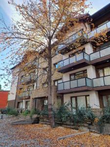 Monoambiente luminoso con vista al cerro Otto