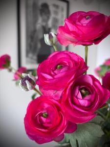 Apartament WHITE GLOVE deluxe Abstrakcja PARKING free