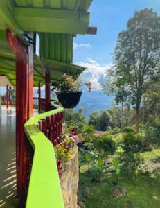 Finca - El piedron