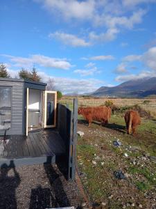 Ben Nevis Manor Studio with private Hot Tub