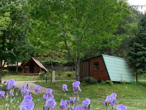 Campings Camping Calme et Nature Iserand : photos des chambres