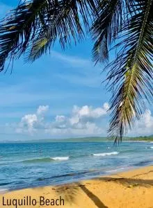 BeachBums Hideaway - Pitahaya