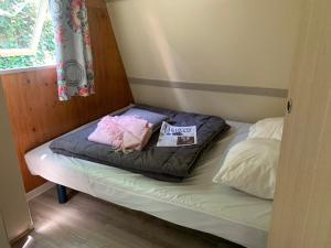 Campings Camping Calme et Nature Iserand : Chalet