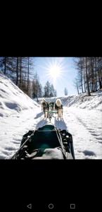 Appartements Appartement chalet montagne cosy 8 places : photos des chambres