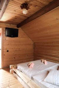 Котедж Арніка