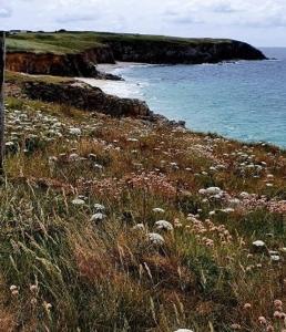 Maisons de vacances Ty Nonod Quiet Breton farmhouse 500m from the sea in Lampaul-Plouarzel : photos des chambres