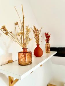 Appartements Duplex cosy en hypercentre de Thionville - 3min a pied de la gare : photos des chambres