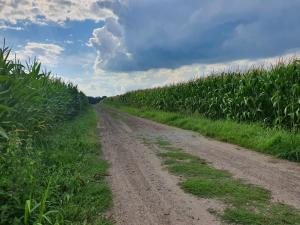 Ferienwohnung Zwischen den Feldern