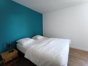 Appartements Residence Les Miandettes - Grand appartement aux pieds des pistes MAE-8444 : photos des chambres