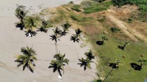 Ocean Suites - Ocean Club - Playas