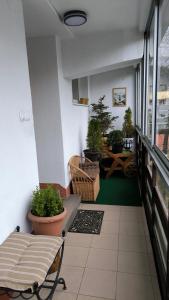Retrospekcja - Apartament w centrum
