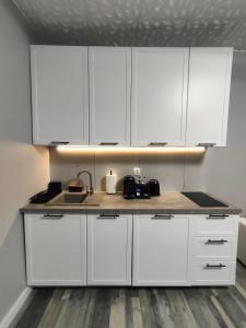 721 Slate Apartament Jedlina-Zdrój