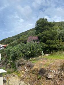 Studios&apartments Thomas