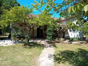 Sculptor's house - Služanj