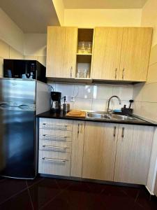 Central Apartment Bucharest - Obor