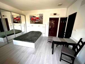 Central Apartment Bucharest - Obor