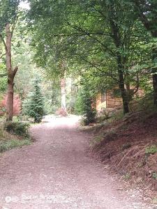 Stream-side cabin and sauna