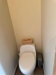 Nice little house San Angel Coyoacan