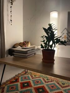 Grey Home