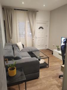 Apartment Summer Dream