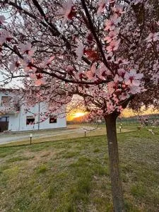 Alloggio Turistico Trasimeno II Castiglione Del Lago - Borghetto
