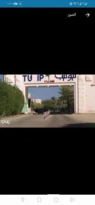 العين السخنة - Suez