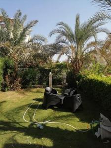 العين السخنة