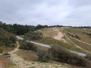 Dune and sea view T2