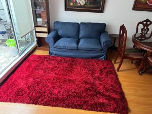 Comfortable and Bright Apartment