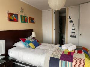 Santiago Central, Bellavista, and Bellas Artes