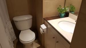 Santiago Central, Bellavista, and Bellas Artes