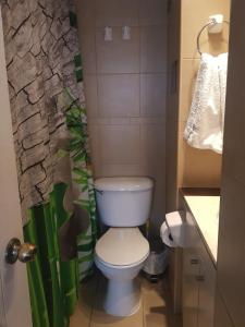 Santiago Central, Bellavista, and Bellas Artes