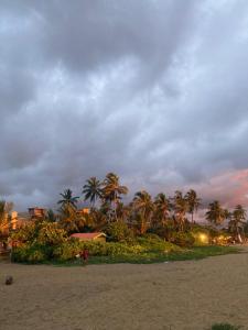 Costas Villa, Tropical Oasis, Ella Room
