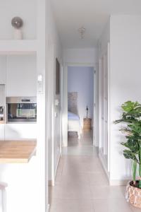 Atlantic Garden Beach & Surf 165