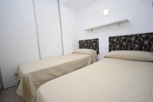 CABALLOS 2D - ESTUDIO - Fincas Arena