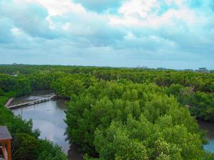 Laguna Beach, Brisa Marina playa Frances