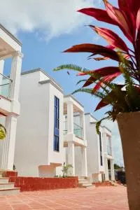 Parent estate limited - Abesem