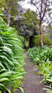 Serra de Água, 9350-306 Ribeira Brava, Madeira, Portugal.