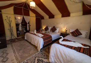 Amodo desert camp