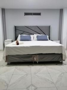 Loft and reception RISHEL