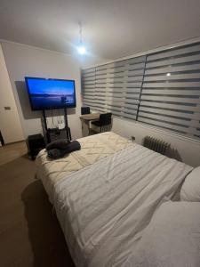 Welcoming apartment