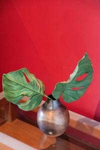 Golfland 2BR by Geko