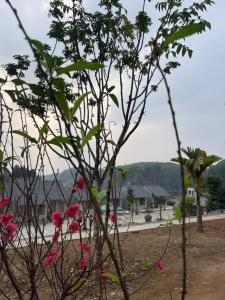 Phủ Đá Quý Homestay