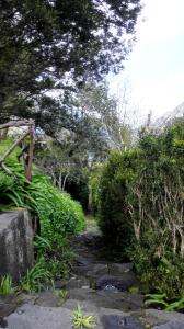 Serra de Água, 9350-306 Ribeira Brava, Madeira, Portugal.