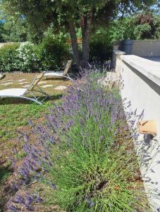 Maisons de vacances Gite neuf avec piscine Bio uv : photos des chambres