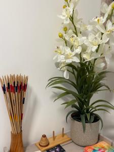 Appartements nuitzen : photos des chambres