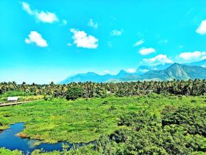 Aneys River view Home stay & resort